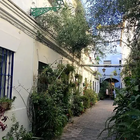 Casas De - Puente De Triana Seville